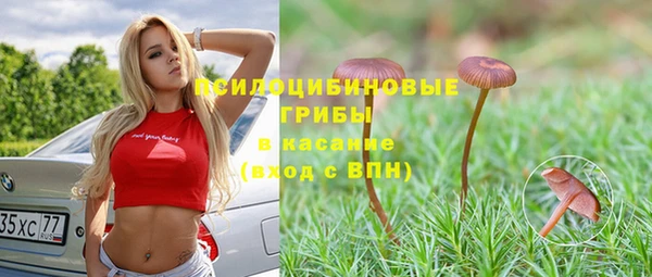 apvp Балабаново