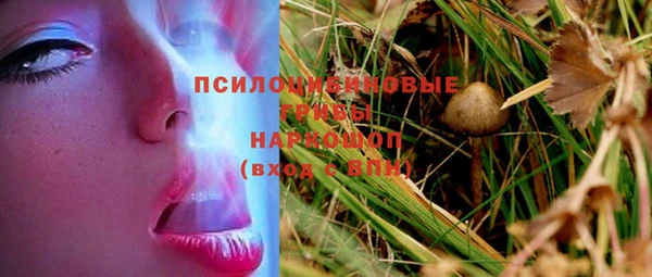 apvp Балабаново