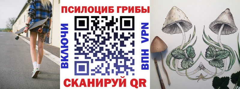 что такое наркотик  Беломорск  Псилоцибиновые грибы Cubensis 