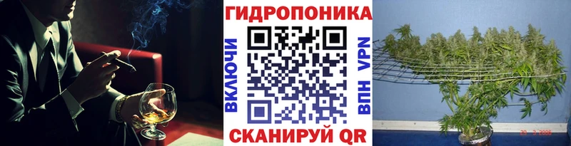 хочу наркоту  Беломорск  mega ТОР  Каннабис SATIVA & INDICA 